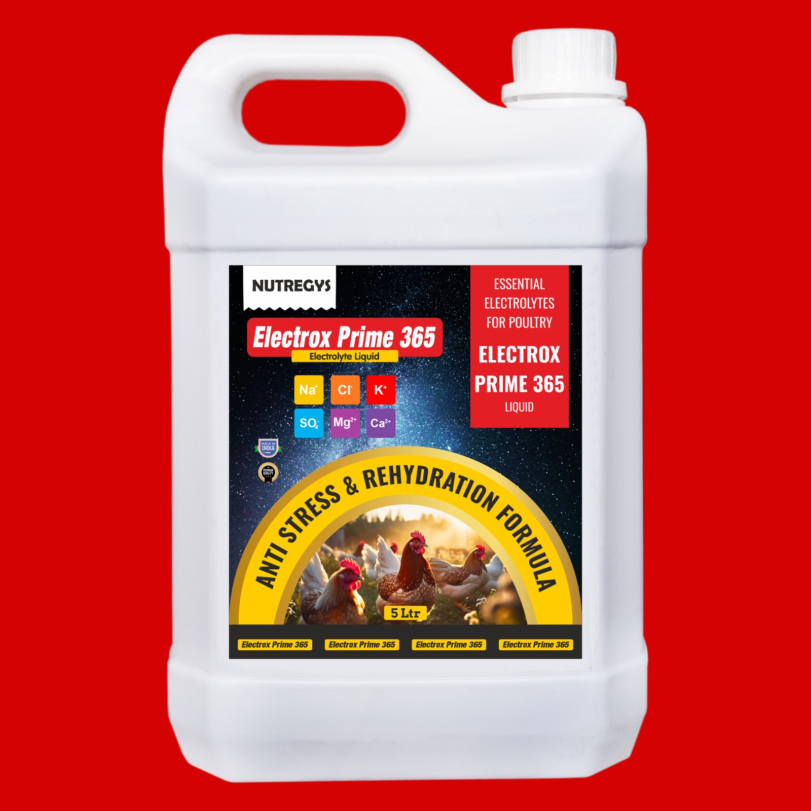 WhatsApp Image 2025-05-09 at 10.59.24 AM.jpeg